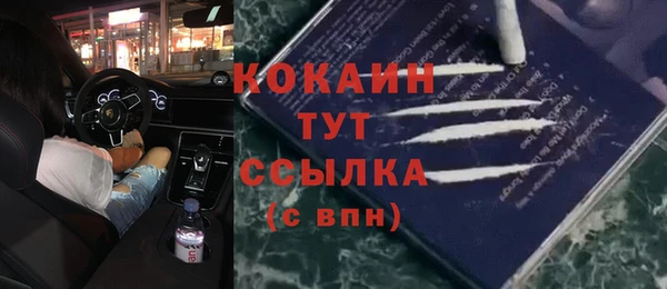 прущие крисы Каменногорск