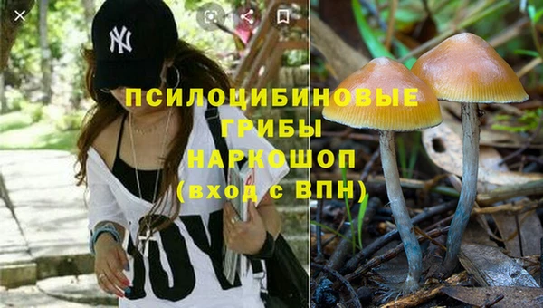 apvp Каменск-Шахтинский