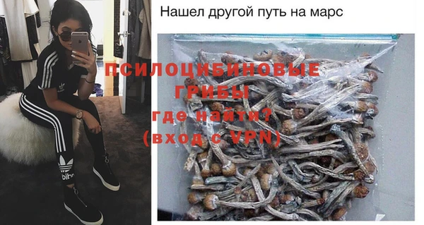 прущие крисы Каменногорск