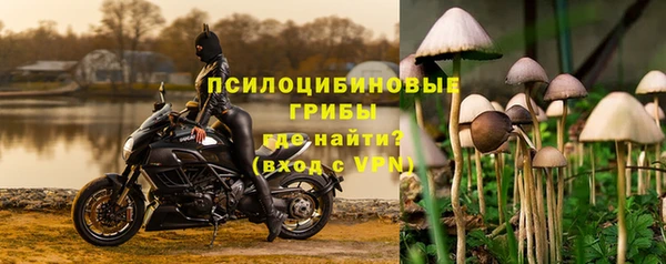 apvp Каменск-Шахтинский