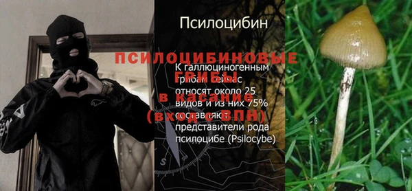 apvp Каменск-Шахтинский