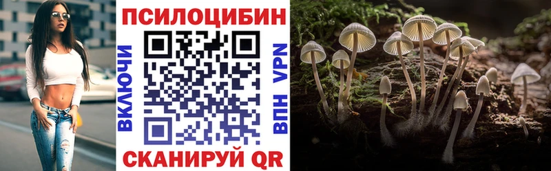 Псилоцибиновые грибы прущие грибы  Купить закладки  Чухлома 